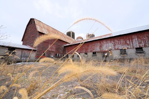 A low view of the Miller Mountain Farmstead - The family who ran this farm sold their land including the surrounding mountain to the state to be repurposed into a state forest. This land is low open to the public for recreation!