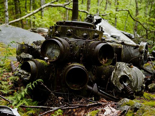 A Radial engine rests after a violent, deadly plane crash in the Catskills.