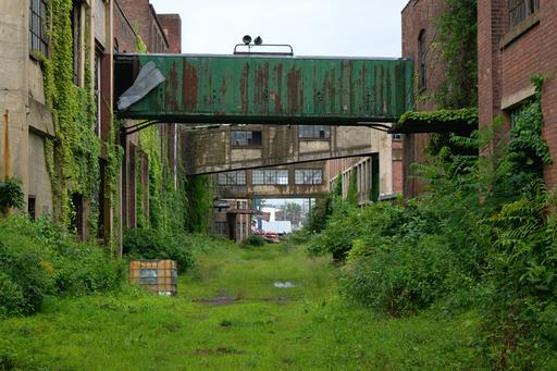 The main, central alleyway of the Scranton Lace Factory. The facility is undergoing demolition at this point, visible in the back. The foreground buildings are quite overgrown.